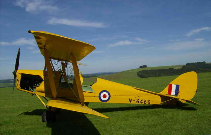 tiger Moth